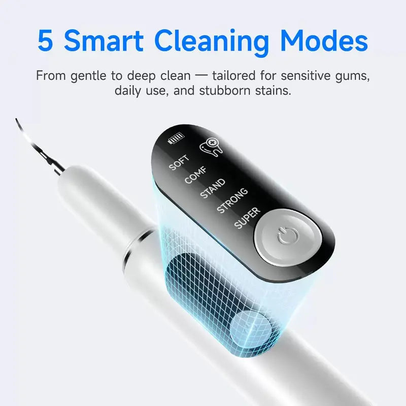 Plaque Remover Electric Tooth Cleaner with LED Light - Rechargeable Tartar Removal Kit for Adults, Oral Daily Cleansing, 5 Replaceable Heads, 2 Modes, 2 Replaceable Heads Included, Home Use