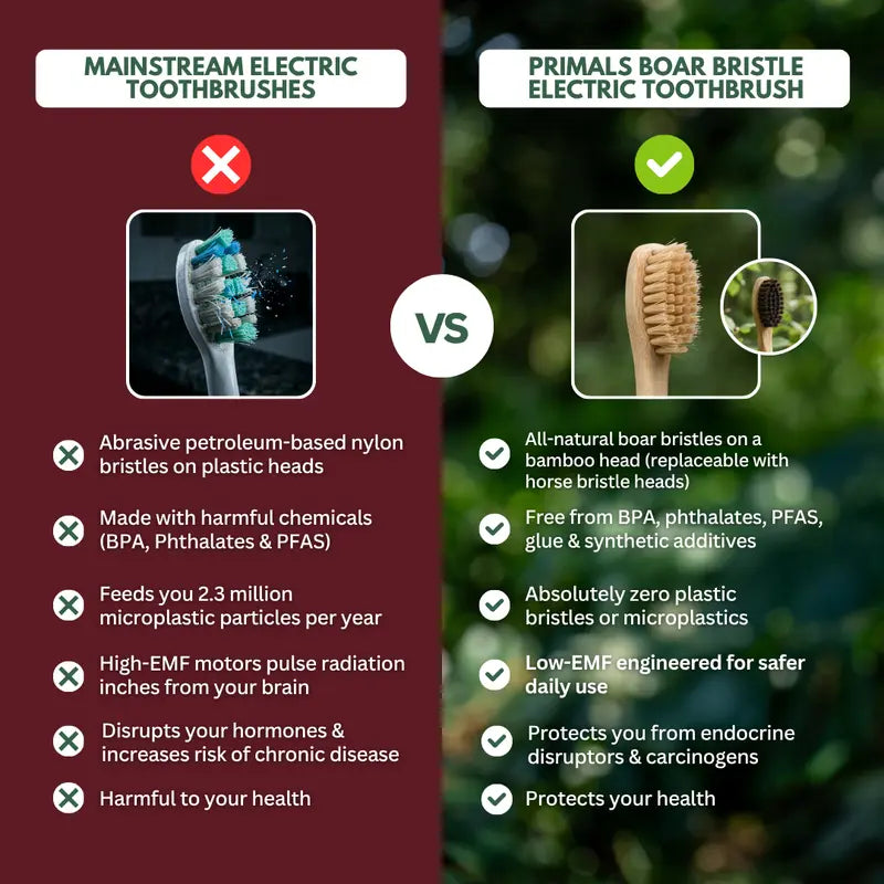 PRIMALS Boar Bristle Electric Toothbrush - Bamboo Heads, No Microplastics, Low EMF Sonic Technology, Includes 2 Replacement Heads and Wireless Charging Port
