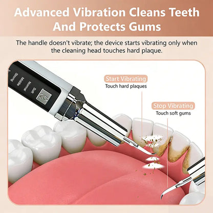 Rechargeable Electric Teeth Cleaner Kit - 1 Lithium Cell, Multiple Plastic Heads, Oral Irrigator, Plaque Remover, Teeth Whitening Tool for Daily Cleansing, Father’S Day Gift (Batteries Included)