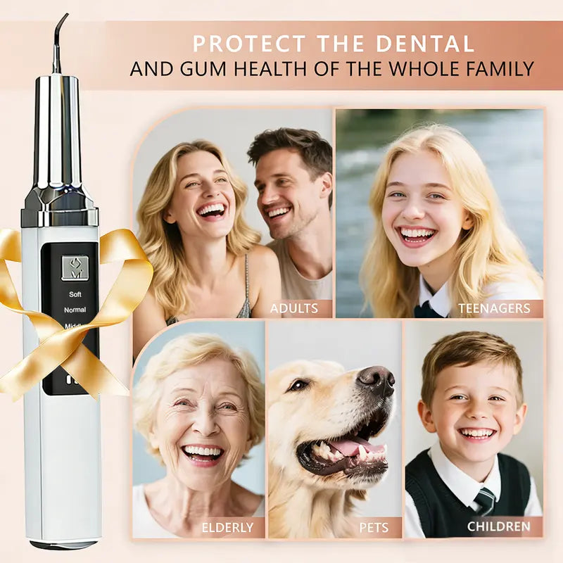 Rechargeable Electric Teeth Cleaner Kit - 1 Lithium Cell, Multiple Plastic Heads, Oral Irrigator, Plaque Remover, Teeth Whitening Tool for Daily Cleansing, Father’S Day Gift (Batteries Included)