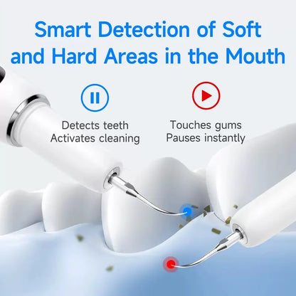 Plaque Remover Electric Tooth Cleaner with LED Light - Rechargeable Tartar Removal Kit for Adults, Oral Daily Cleansing, 5 Replaceable Heads, 2 Modes, 2 Replaceable Heads Included, Home Use